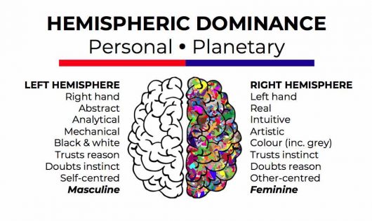 what-is-hemispheric-dominance-michael-h-hallett