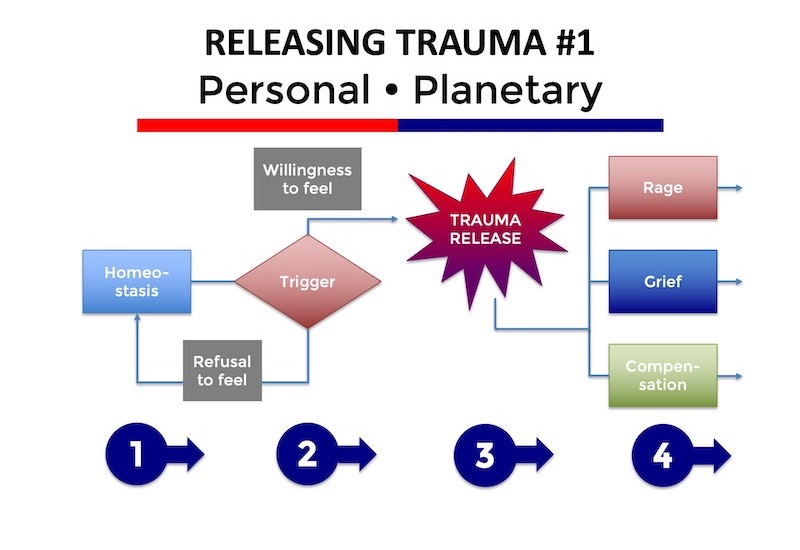 Releasing trauma flowchart